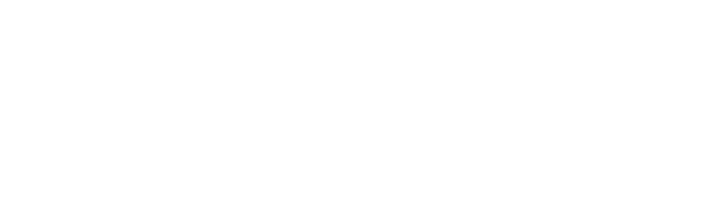 Secret network logo